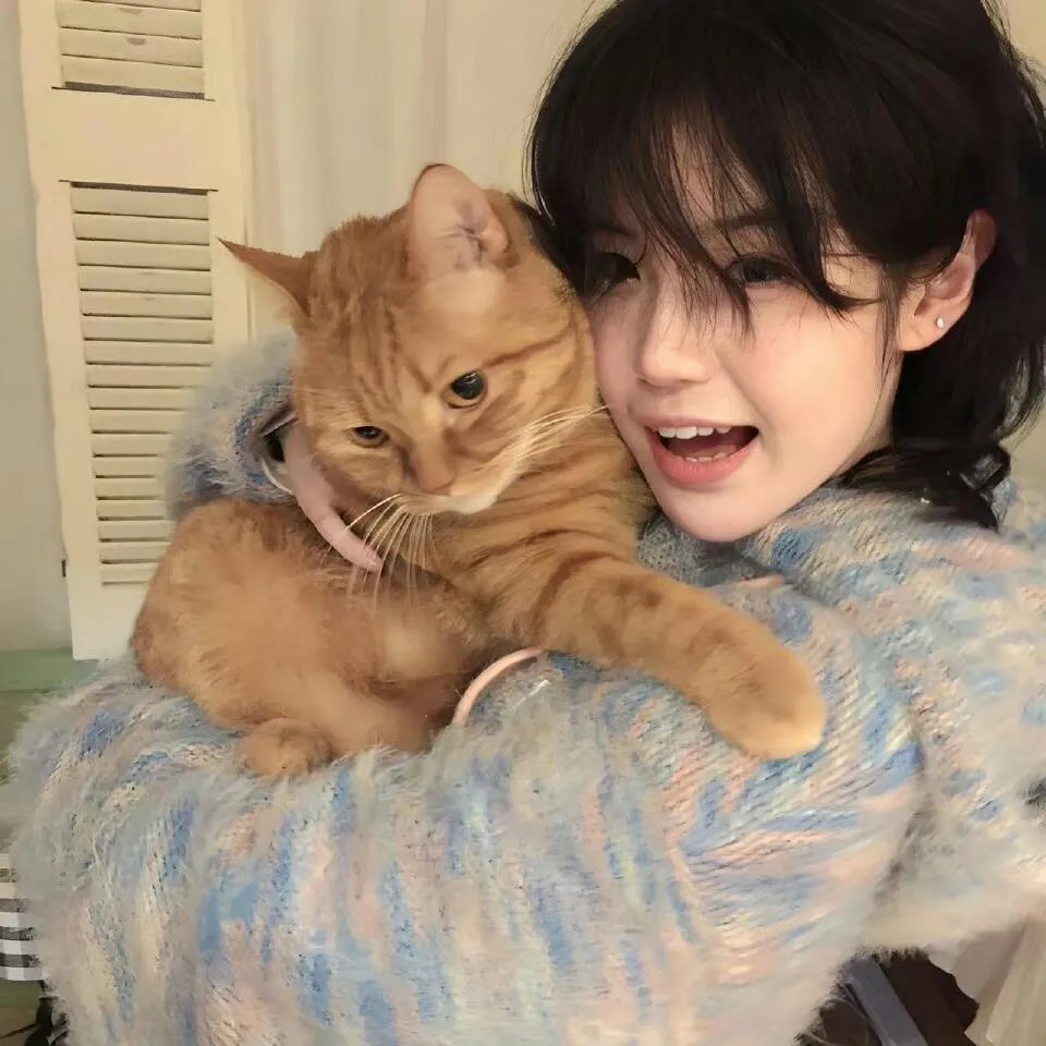 猎鹰追击